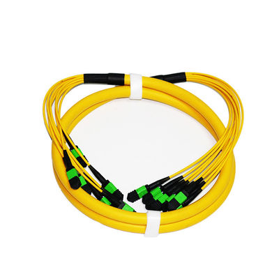 Câble de corde de correction d'OM3 Mtp MPO